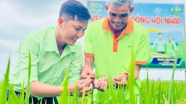 Dong Thap and PAN 'join hands' to reduce fertilizers, pesticides, and emissions